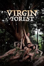 Virgin Forest [ မြန်မာစာတန်းထိုး ]